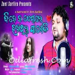 Dine Na Dekhile Hauthilu Pageli